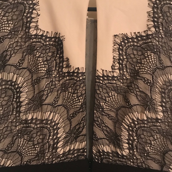 Lace Color Block Bodycon Dress - Picture 6 of 6